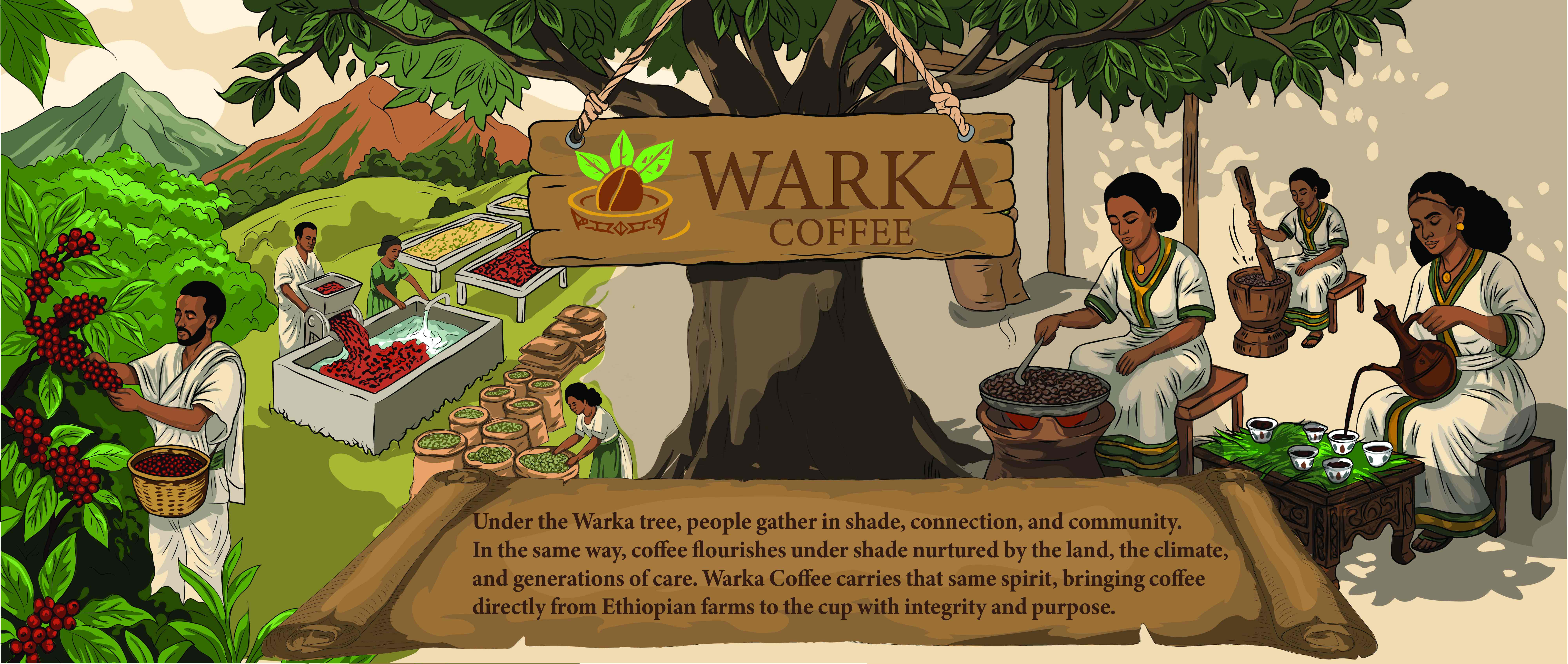 Warka Coffee - Under the Warka tree, people gather in shade, connection, and community